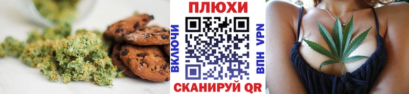 мега ТОР  закладки  Спасск-Рязанский  Cannafood конопля 
