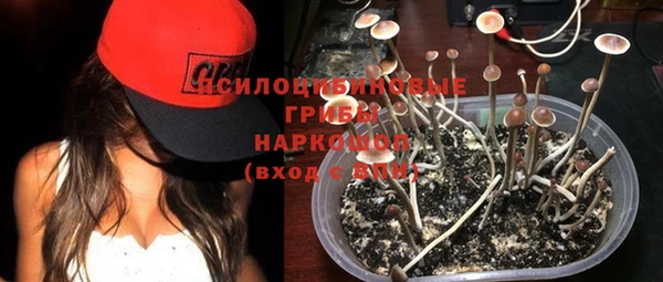 метадон Алексеевка